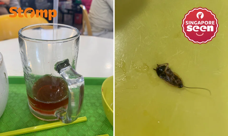 Cockroach found in teh-o at Bedok coffee shop