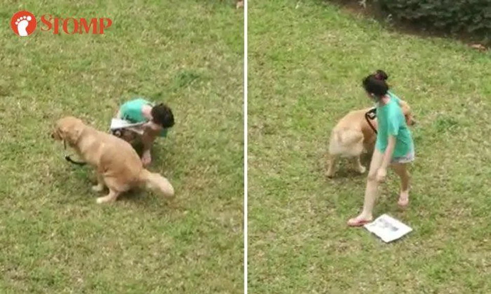 Woman leaves dog poo covered with newspaper at Yishun, town council monitoring situation