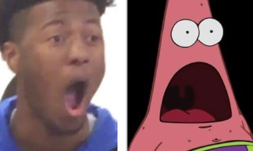 Teen becomes meme sensation after his hilarious reaction to exotic animals in zoology class went viral 