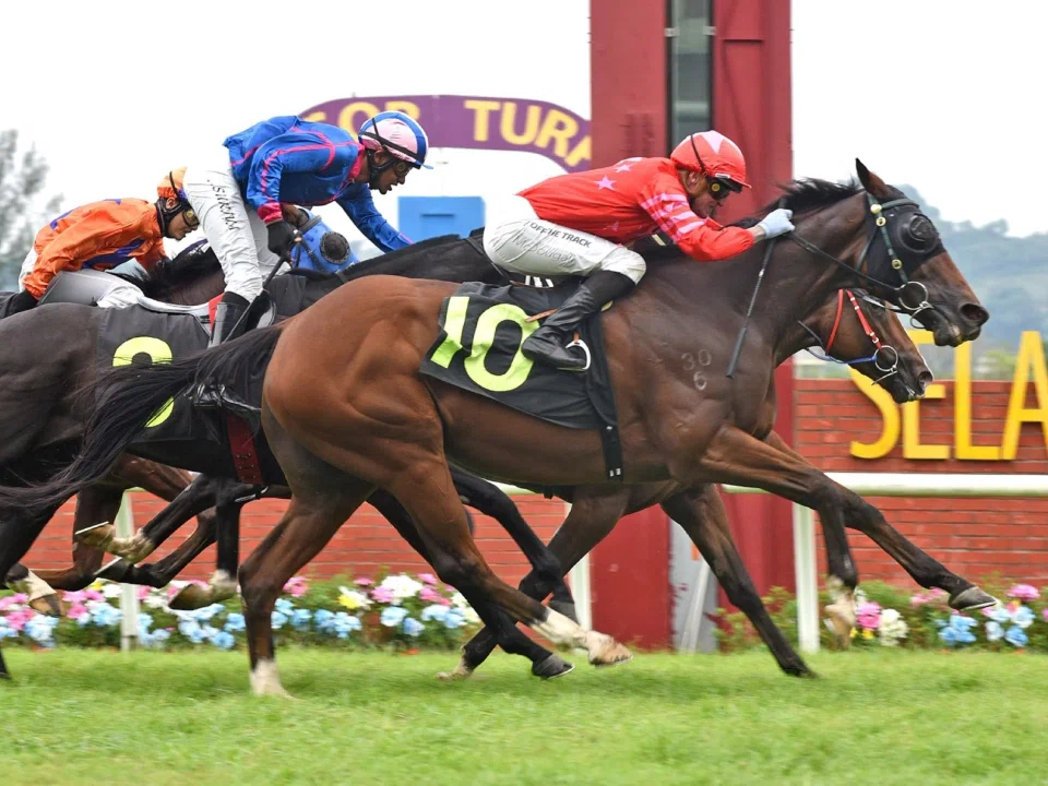 Atlante Legend may be eight years old, but he nosed out Storm Pegasus over the Sungai Besi 1,200m on Jan 31.
