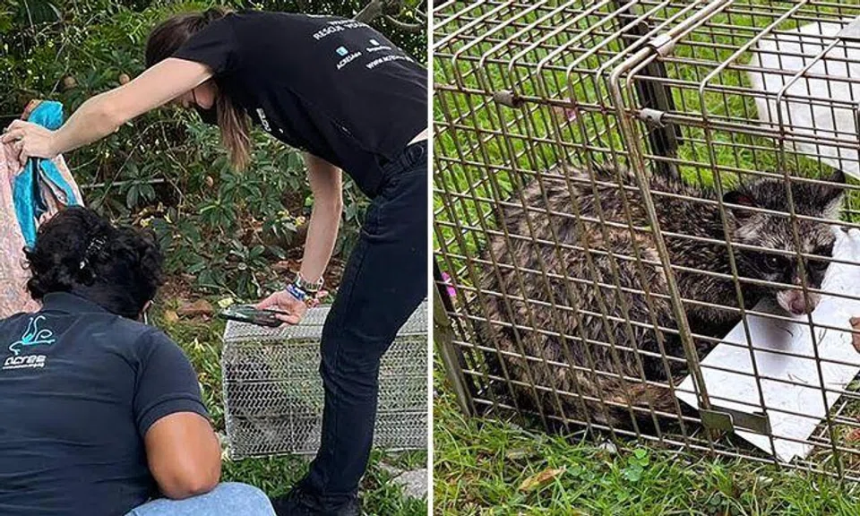 Photos: Shin Min Daily News