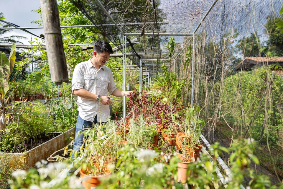 Mr Ang now works as an urban farming educator with social enterprise Edible Garden City.