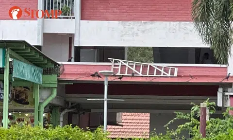 Stomper ponders over ladder on roof awning in Changi Village: 'This is Ladder Village'