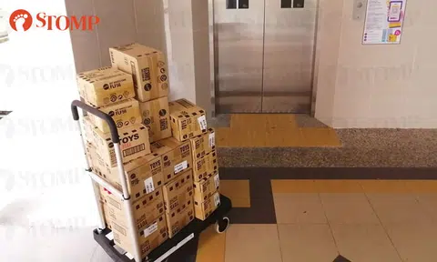 Man appealing for return of stolen trolley worth more than $85 at Choa Chu Kang