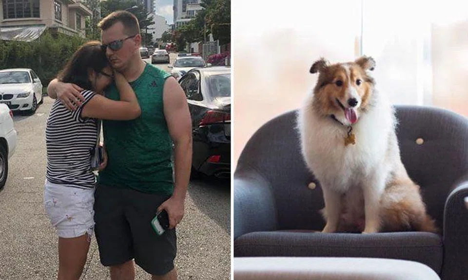 Ms Elaine Mao and her partner (left) and their Shetland sheepdog named Prince (right). PHOTOS: FACEBOOK