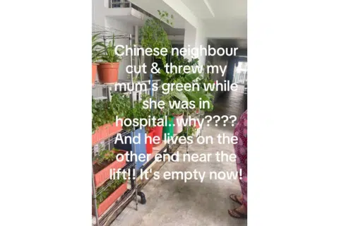 'Private garden' along HDB corridor sparks neighbour dispute