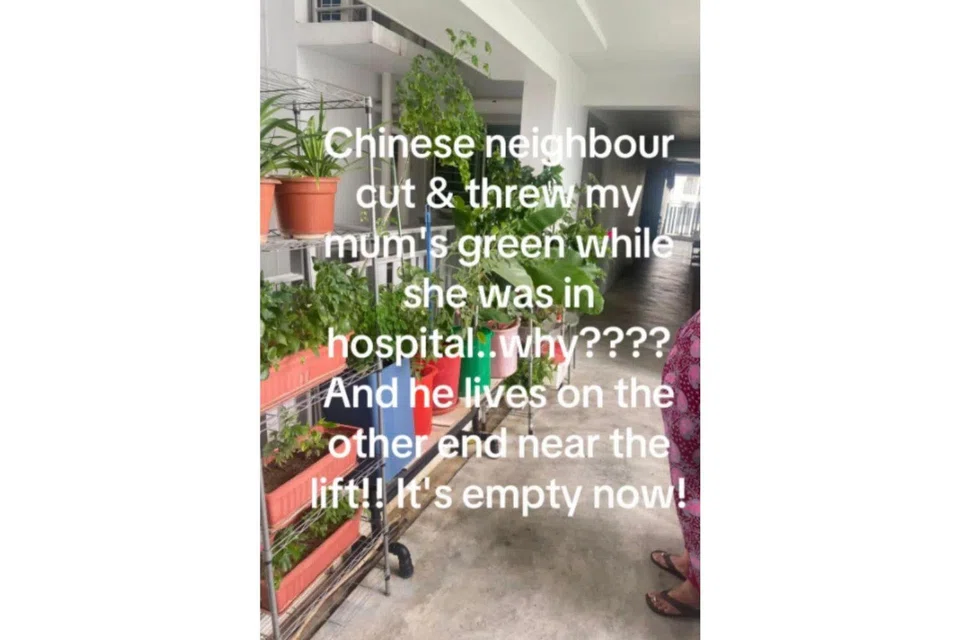 'Private garden' along HDB corridor sparks neighbour dispute