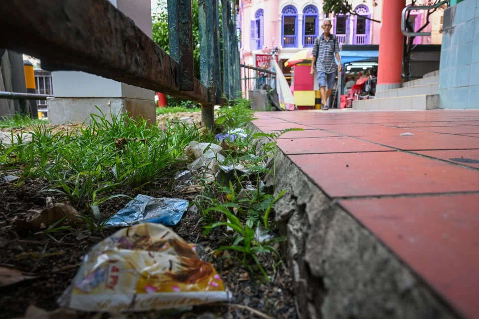 In 2025, there has been an increase in the number of rat burrows recorded, despite ongoing efforts to mitigate rat infestations.