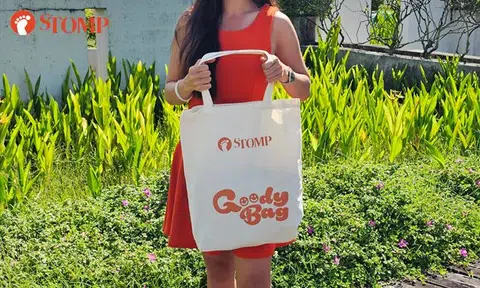 The Stomp Goody Bag is back, bigger and better than before