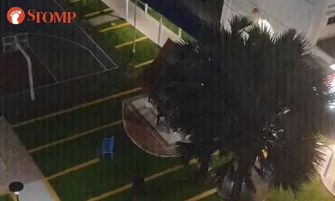Early-morning shouting at Eunos basketball court keeps resident awake, town council installs sign