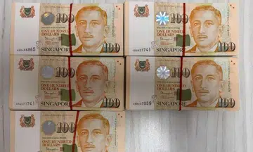 Malaysian woman arrested over investment scam