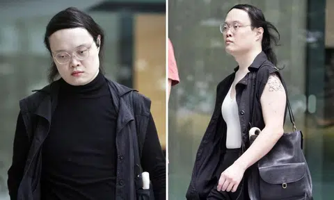 Alina Meridian, who had initially claimed trial, pleaded guilty to an assault charge.