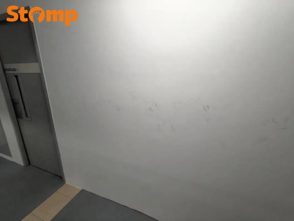 Handprints on the wall outside the flat.