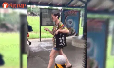 Patricia Mok catches Lau Lup's eye on bus again -- for the third time