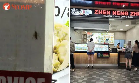 Woman says staff ignored her when she pointed out cockroach at Kallang food stall