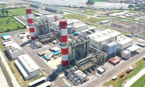 Indonesia may review energy exports due to ‘disrespect’