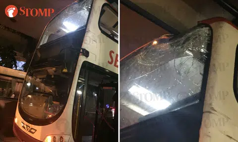 Windshield shatters after double-decker bus crashes into shelter opposite VivoCity