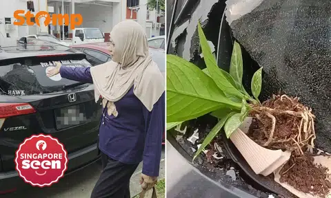 Tampines car damage, flower pot incident, vandalised car