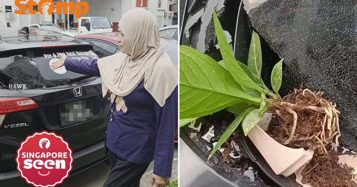 Tampines resident heartbroken after flower pot smashes parked Honda: ‘Why must they do this to my car?’