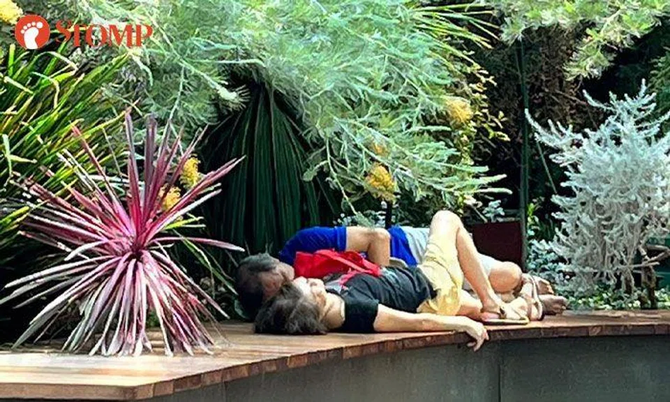 Couple nap at Gardens by the Bay's Flower Dome for over 30 minutes