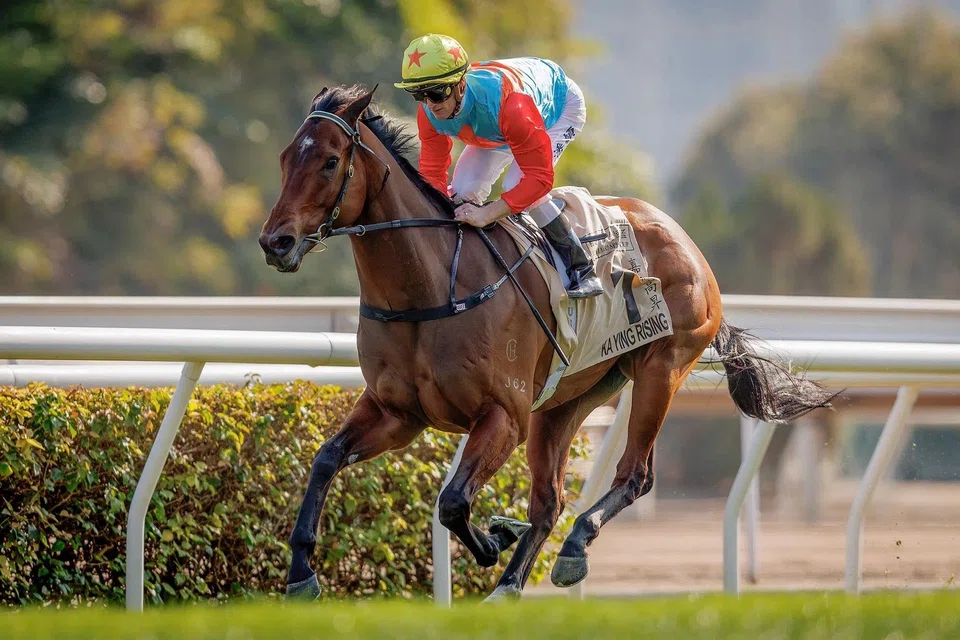 With Zac Purton sidelined, Ka Ying Rising will be ridden by Karis Teetan in the Group 1 Queen's Silver Jubilee Cup (1,400m) at Sha Tin on Feb 23. 