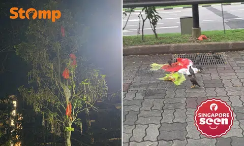 high-rise littering, Bukit Batok, NEA enforcement