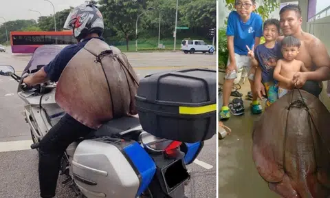 Motorcyclist with stingray on his back says he caught 2 others and shared them with friends to cook