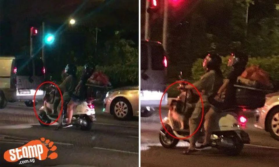 Is this even allowed? Stomper spots pet dog on board motor scooter at Farrer Road 