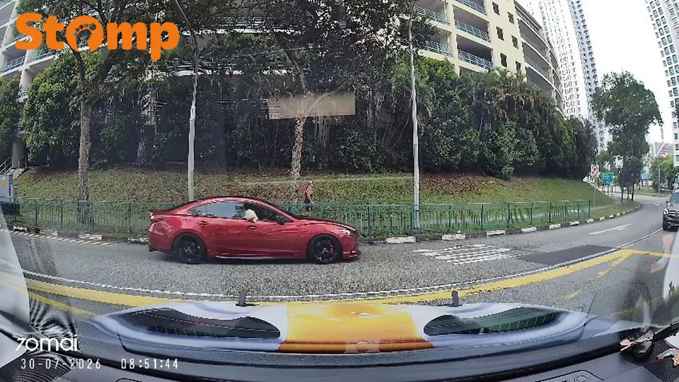 Dog in front seat at Senja Road
