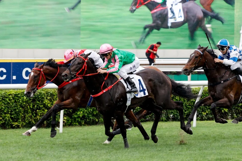 Bundle Award (Zac Purton) just pipping Noisy Boy (Jerry Chau, on the inside) to get up in the Group 3 Queen Mother Memorial Cup Handicap (2,400m) at Sha Tin on May 4.