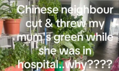 'Private garden' along HDB corridor sparks neighbour dispute