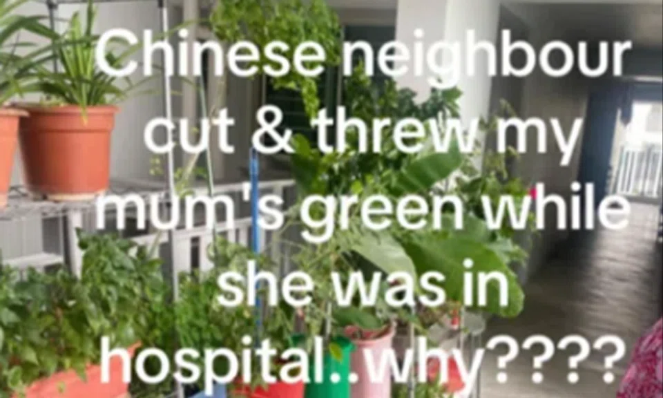 'Private garden' along HDB corridor sparks neighbour dispute
