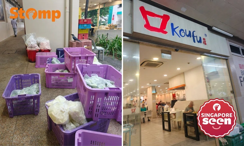 SFA investigating Koufu Pioneer Mall for food hygiene risks