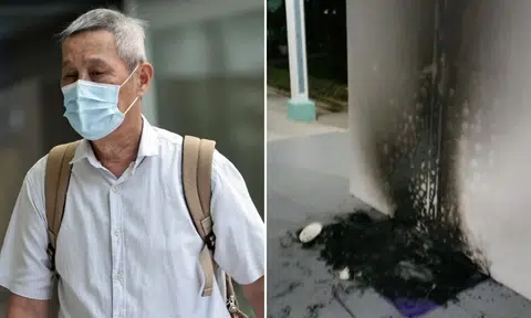 3 months’ jail for man who set fire to community cat houses at Bukit Batok void deck