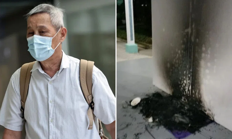 3 months’ jail for man who set fire to community cat houses at Bukit Batok void deck