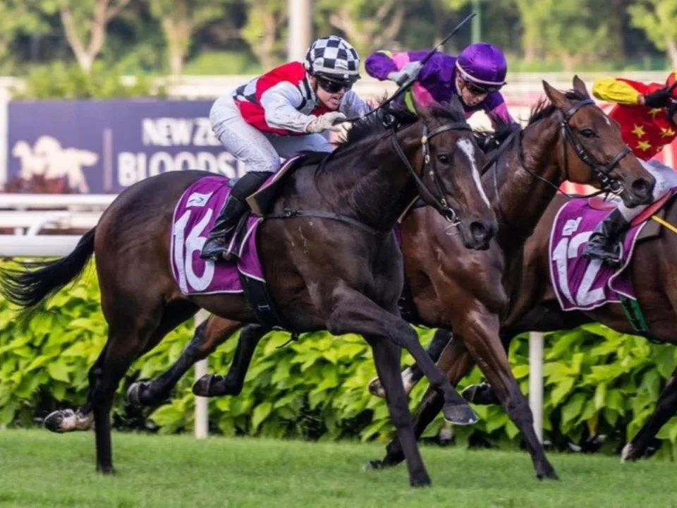 What's New (Raquel Clark) capturing the Group 3 Silver Bowl (1,400m) as a $398 pop at Kranji on June 9, 2019. Her son Sepals will attempt to reproduce the same Group flair for the same trainer, Cliff Brown in the Group 1 Australian Guineas (1,600m) at Flemington on March 1.


