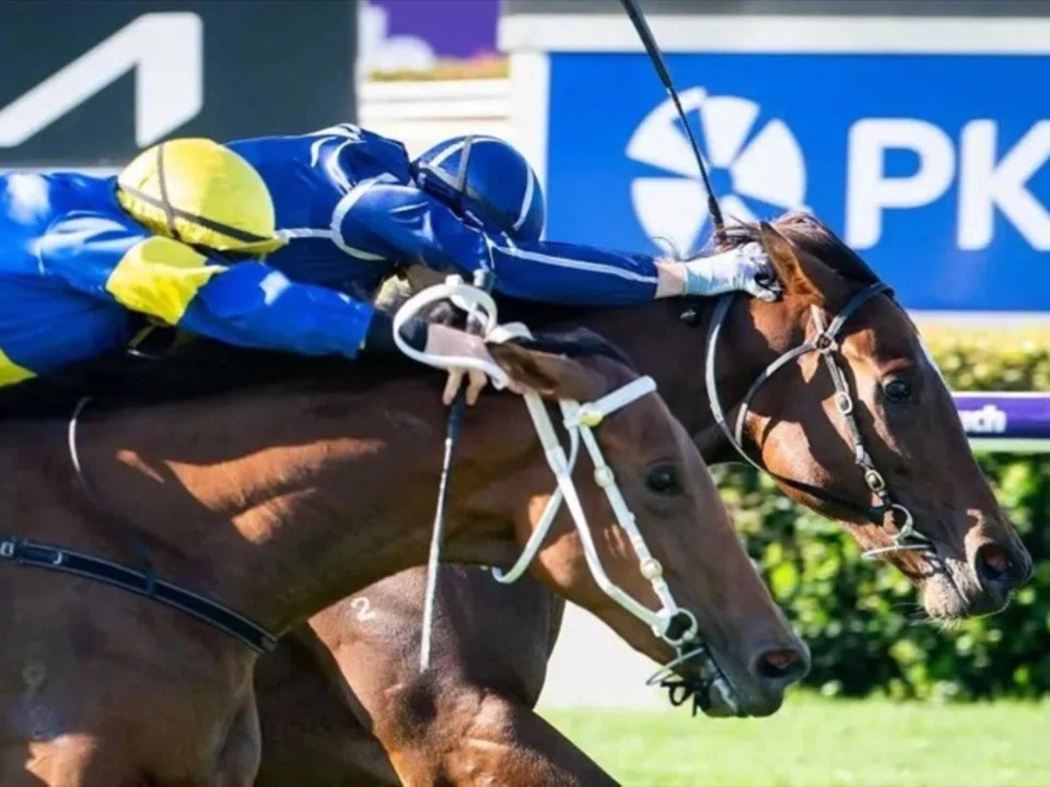 Talkanco (Brad Parnham, inside) just getting the better of Yes Queen (William Pike) in the Group 3 Gimcrack Stakes (1,100m) at Ascot on April 12. The pair renew their rivalry in the Group 2 Karrakatta Plate (1,200m) on April 26.