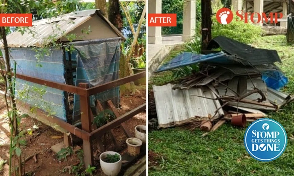The bird coop at Block 272 Yishun Street 22 has been dismantled following a Stomp report.