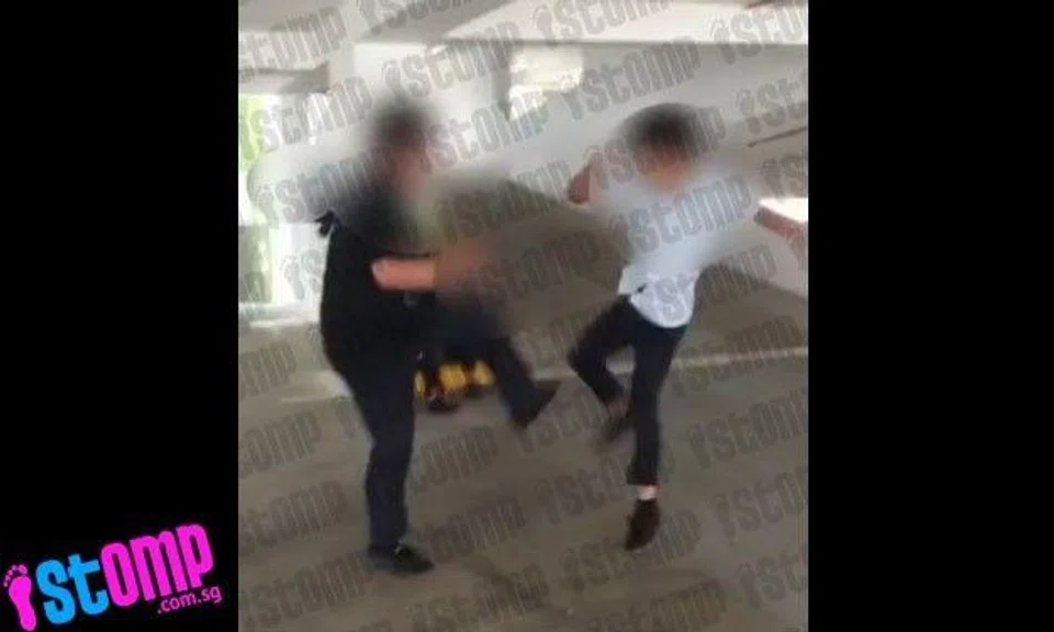 Students turn multi-storey carpark into UFC octagon