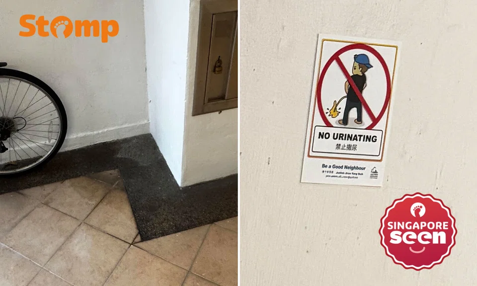 Hougang void deck, public urination, CCTV installation