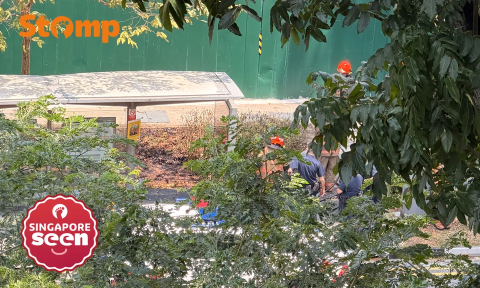 Vegetation fire breaks out at Upper Bukit Timah Road