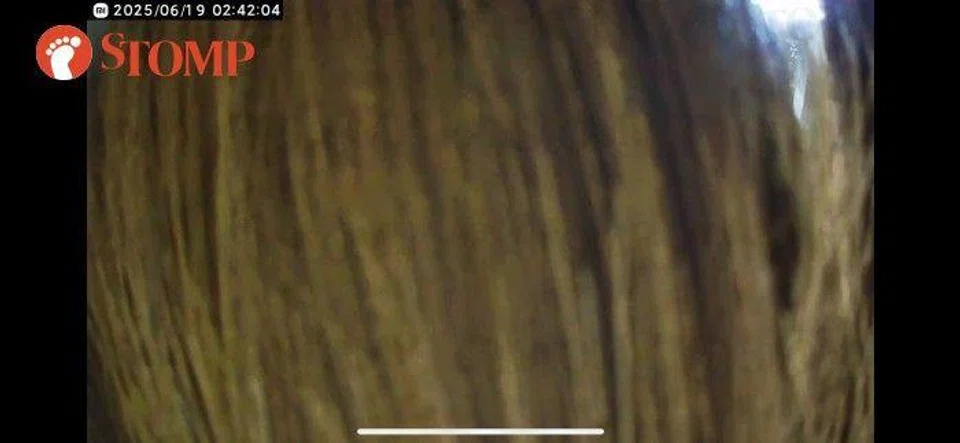 youths cover cctv with broom