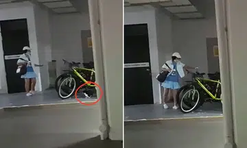 man confronts neighbour community cat Bukit Batok