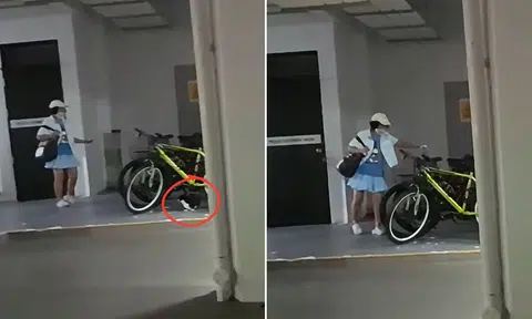 man confronts neighbour community cat Bukit Batok