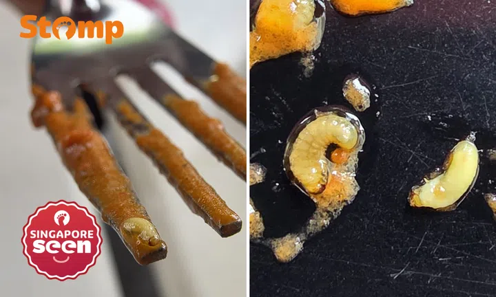 Maggots in butter chicken at Geylang eatery