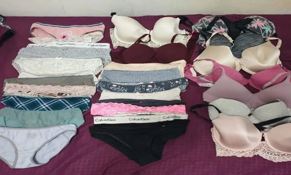 PHOTO: SINGAPORE POLICE FORCE