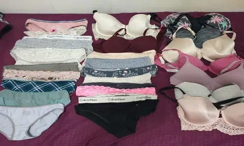 Man arrested for series of underwear theft in Pasir Ris, over 25 undergarments found in his possession