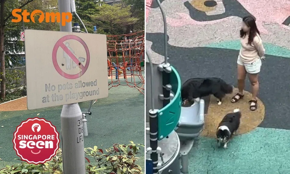 woman lets dogs play unleashed at punggol waterway cascadia playground