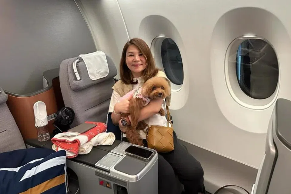 Ms Chen Rouxin and her husband took Momo on a trip to France and Germany.
