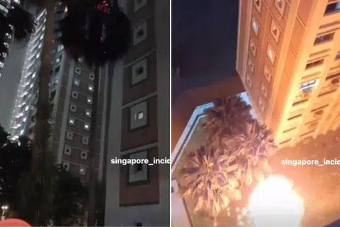 Large tree catches fire in Jurong West, investigations underway